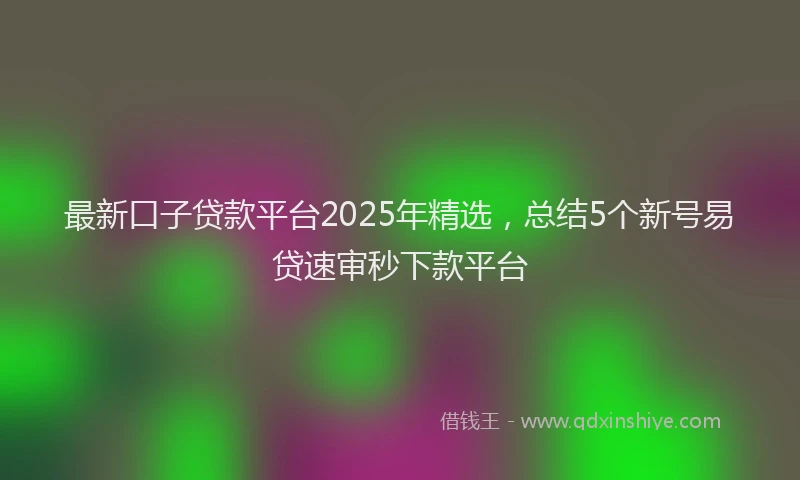最新口子贷款平台2025年精选，总结5个新号易贷速审秒下款平台