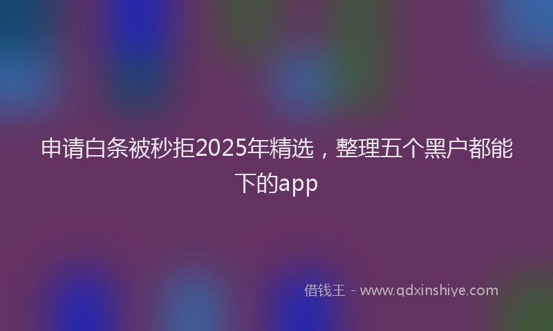 申请白条被秒拒2025年精选，整理五个黑户都能下的app