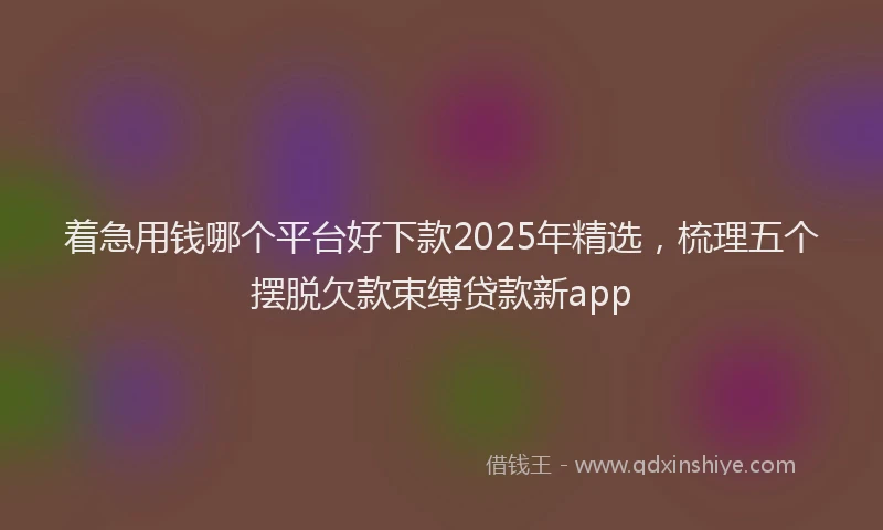 着急用钱哪个平台好下款2025年精选，梳理五个摆脱欠款束缚贷款新app