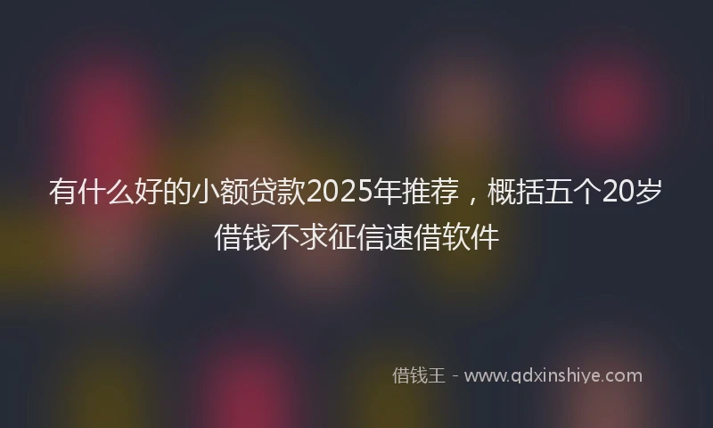 有什么好的小额贷款2025年推荐，概括五个20岁借钱不求征信速借软件