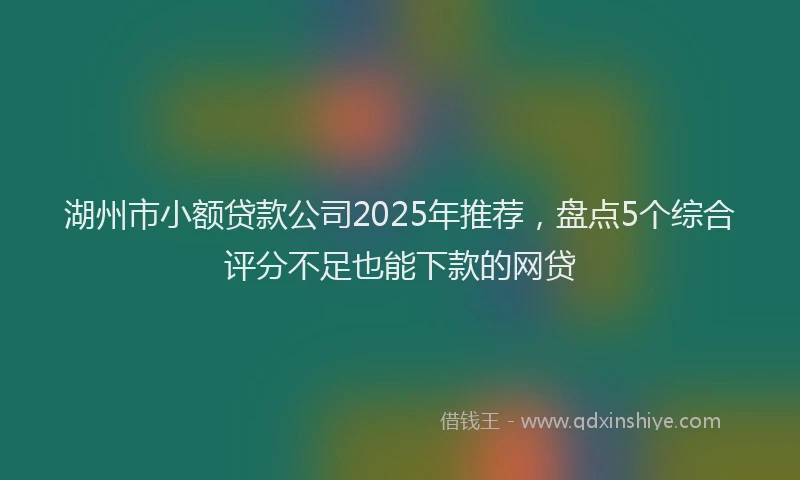 湖州市小额贷款公司2025年推荐，盘点5个综合评分不足也能下款的网贷