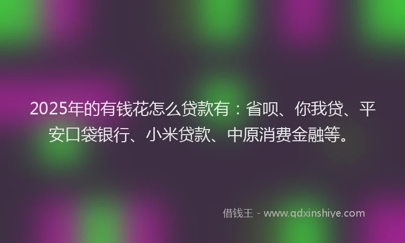 2025年的有钱花怎么贷款有：省呗、你我贷、平安口袋银行、小米贷款、中原消费金融等。