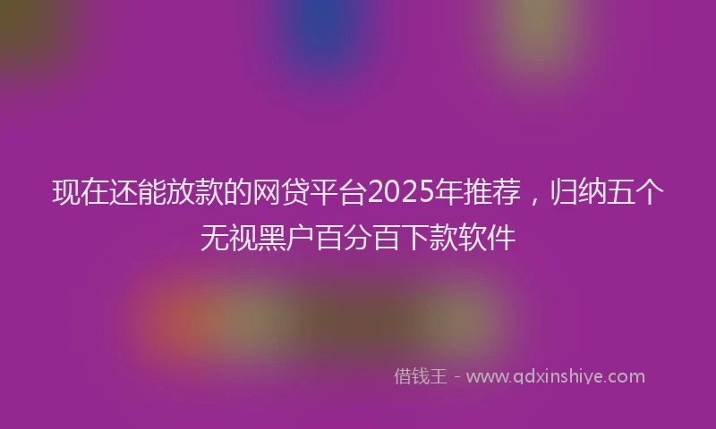 现在还能放款的网贷平台2025年推荐，归纳五个无视黑户百分百下款软件