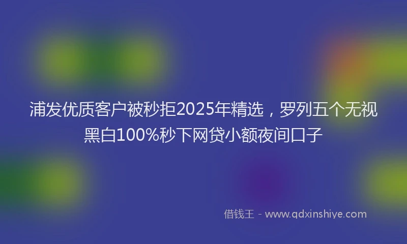 浦发优质客户被秒拒2025年精选，罗列五个无视黑白100%秒下网贷小额夜间口子
