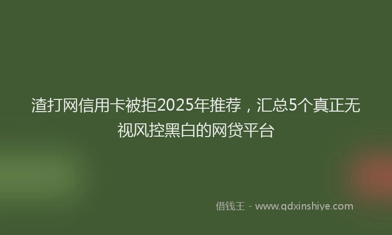 渣打网信用卡被拒2025年推荐，汇总5个真正无视风控黑白的网贷平台
