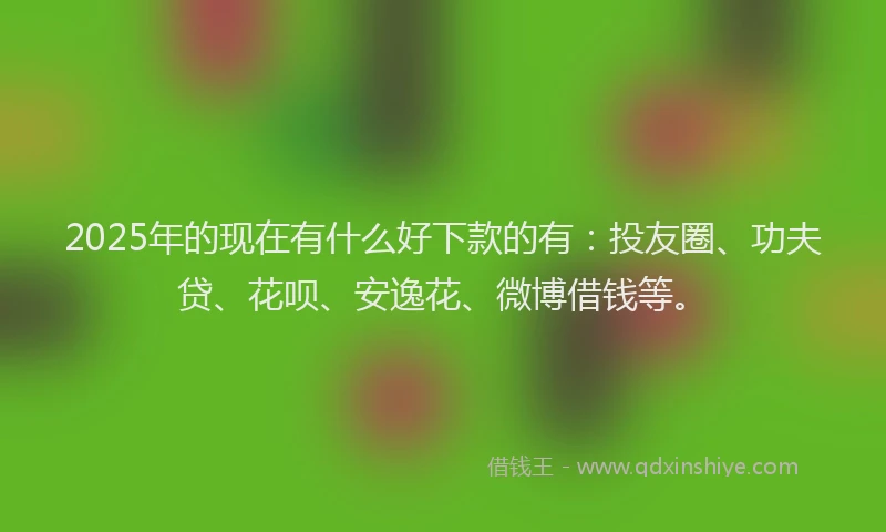 2025年的现在有什么好下款的有：投友圈、功夫贷、花呗、安逸花、微博借钱等。