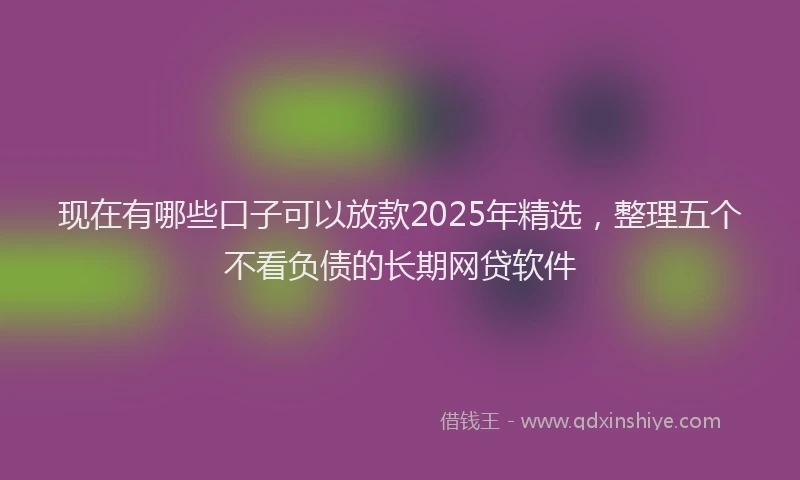 现在有哪些口子可以放款2025年精选，整理五个不看负债的长期网贷软件