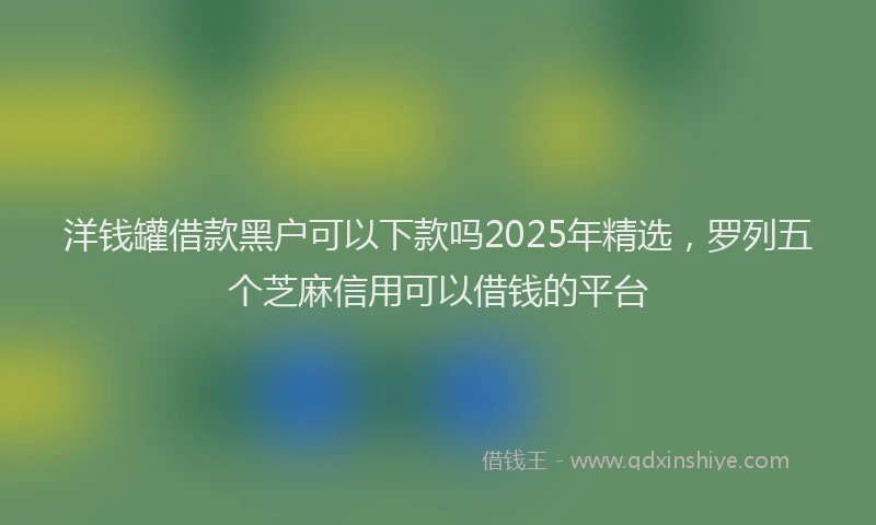 洋钱罐借款黑户可以下款吗2025年精选，罗列五个芝麻信用可以借钱的平台