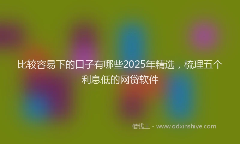 比较容易下的口子有哪些2025年精选，梳理五个利息低的网贷软件