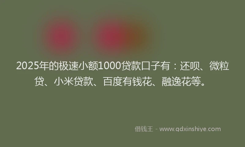 2025年的极速小额1000贷款口子有：还呗、微粒贷、小米贷款、百度有钱花、融逸花等。