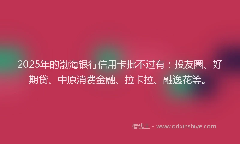 2025年的渤海银行信用卡批不过有：投友圈、好期贷、中原消费金融、拉卡拉、融逸花等。