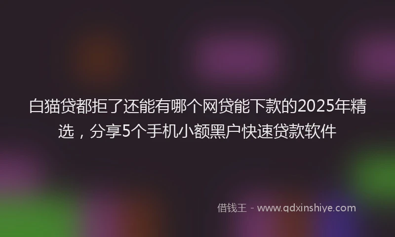 白猫贷都拒了还能有哪个网贷能下款的2025年精选，分享5个手机小额黑户快速贷款软件