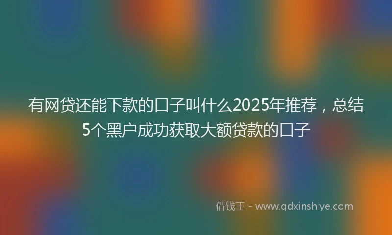 有网贷还能下款的口子叫什么2025年推荐，总结5个黑户成功获取大额贷款的口子