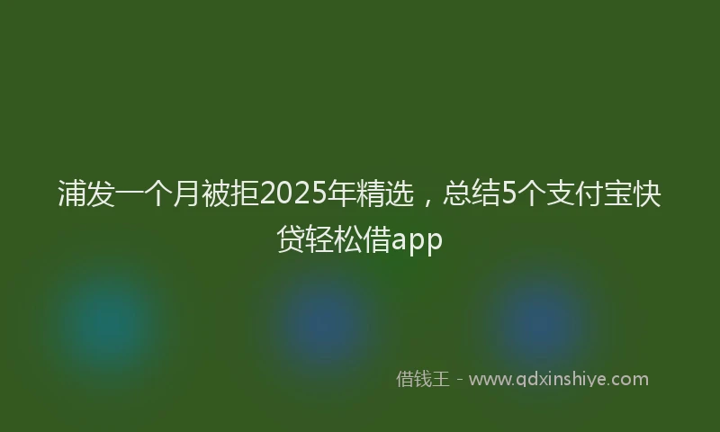浦发一个月被拒2025年精选，总结5个支付宝快贷轻松借app