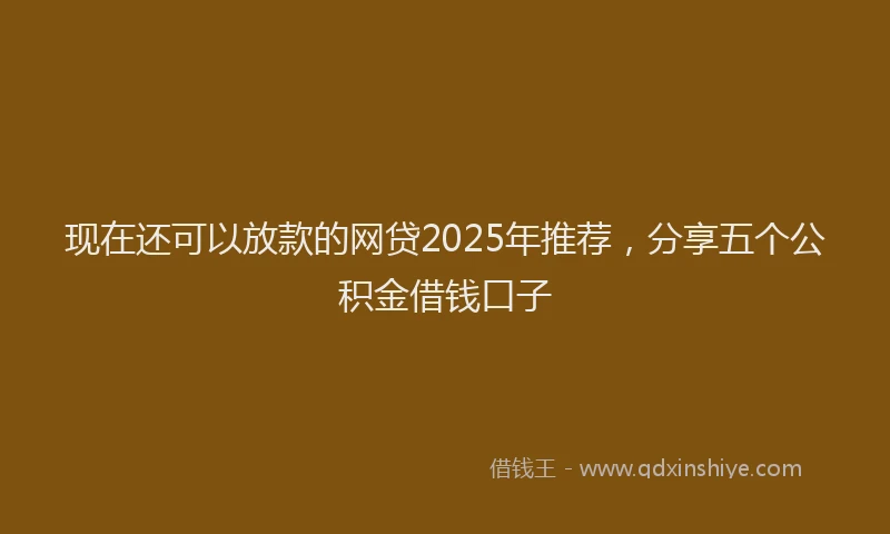 现在还可以放款的网贷2025年推荐，分享五个公积金借钱口子