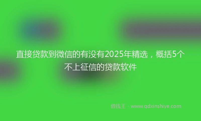 直接贷款到微信的有没有2025年精选，概括5个不上征信的贷款软件