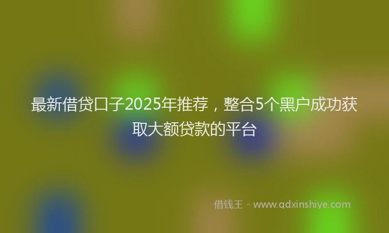 最新借贷口子2025年推荐，整合5个黑户成功获取大额贷款的平台