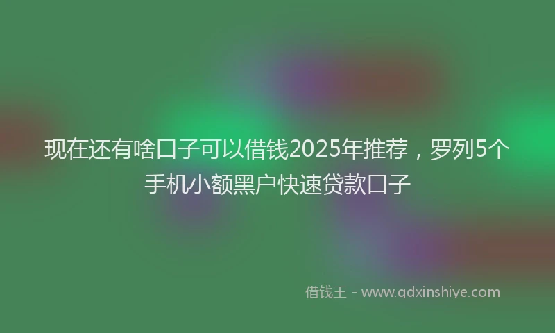 现在还有啥口子可以借钱2025年推荐，罗列5个手机小额黑户快速贷款口子