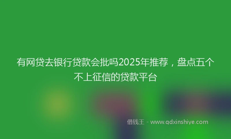 有网贷去银行贷款会批吗2025年推荐，盘点五个不上征信的贷款平台