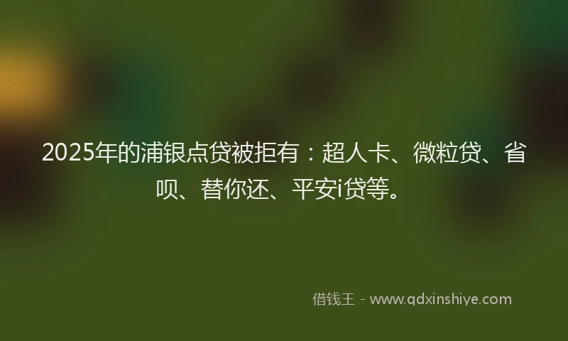 2025年的浦银点贷被拒有：超人卡、微粒贷、省呗、替你还、平安i贷等。