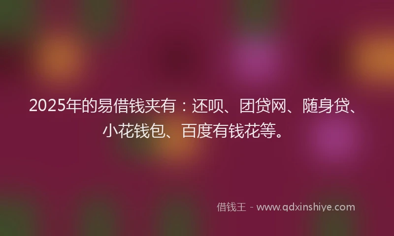 2025年的易借钱夹有：还呗、团贷网、随身贷、小花钱包、百度有钱花等。