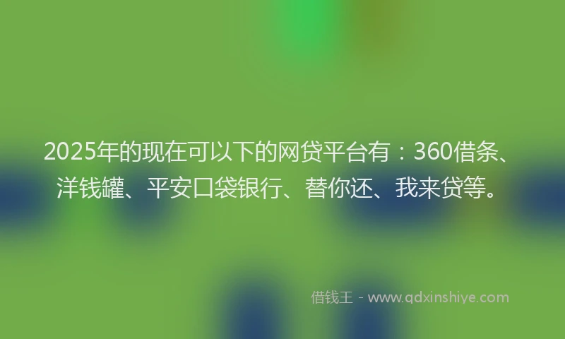2025年的现在可以下的网贷平台有：360借条、洋钱罐、平安口袋银行、替你还、我来贷等。