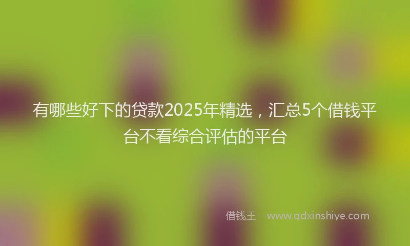 有哪些好下的贷款2025年精选，汇总5个借钱平台不看综合评估的平台