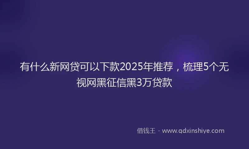有什么新网贷可以下款2025年推荐，梳理5个无视网黑征信黑3万贷款