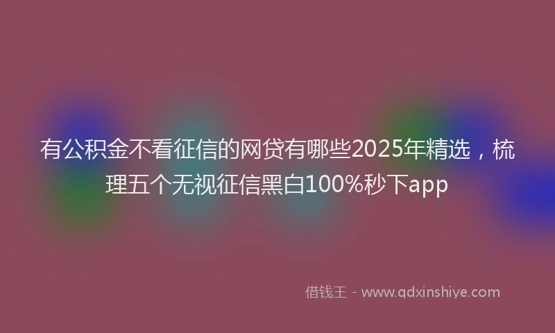 有公积金不看征信的网贷有哪些2025年精选，梳理五个无视征信黑白100%秒下app