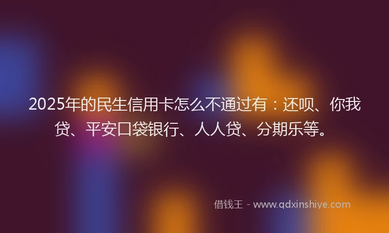 2025年的民生信用卡怎么不通过有：还呗、你我贷、平安口袋银行、人人贷、分期乐等。