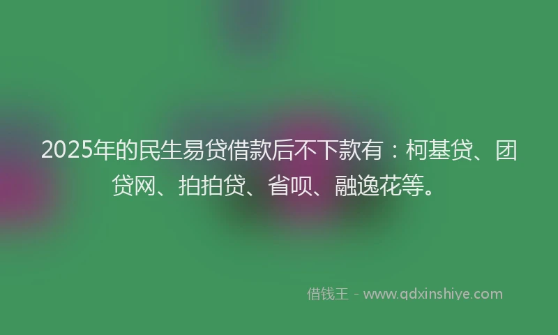 2025年的民生易贷借款后不下款有：柯基贷、团贷网、拍拍贷、省呗、融逸花等。