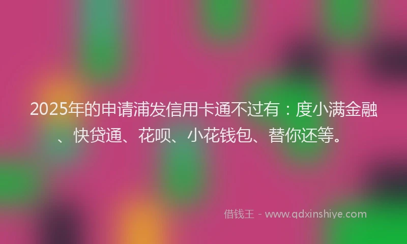 2025年的申请浦发信用卡通不过有：度小满金融、快贷通、花呗、小花钱包、替你还等。