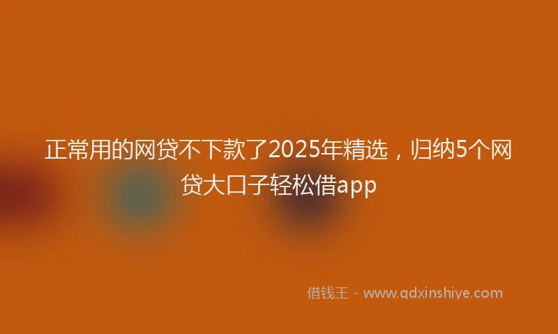 正常用的网贷不下款了2025年精选，归纳5个网贷大口子轻松借app