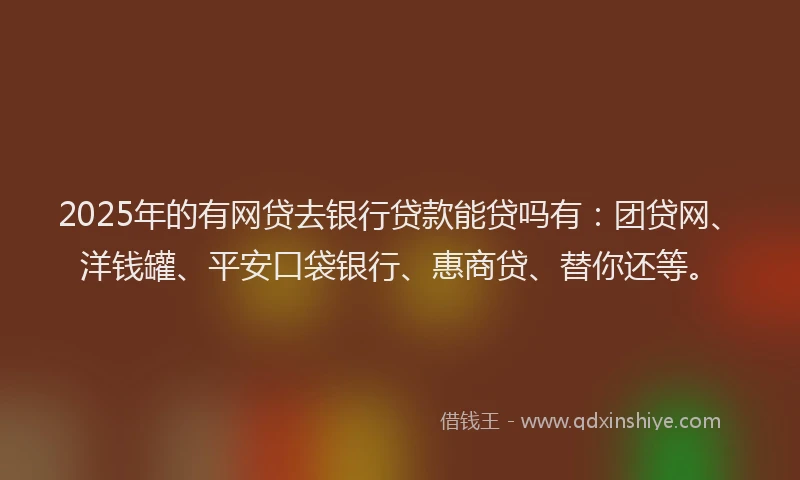 2025年的有网贷去银行贷款能贷吗有：团贷网、洋钱罐、平安口袋银行、惠商贷、替你还等。
