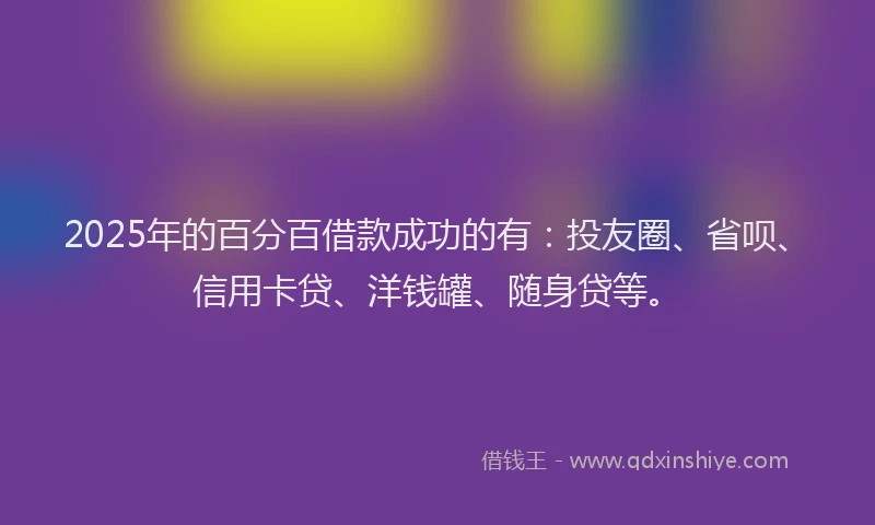 2025年的百分百借款成功的有：投友圈、省呗、信用卡贷、洋钱罐、随身贷等。
