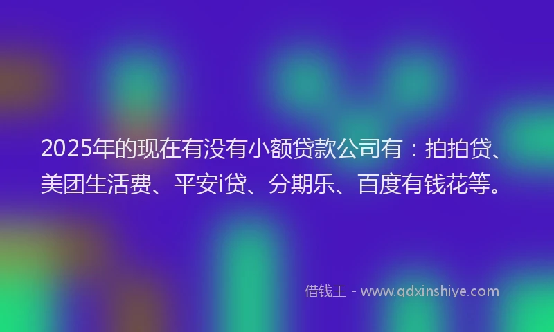 2025年的现在有没有小额贷款公司有：拍拍贷、美团生活费、平安i贷、分期乐、百度有钱花等。