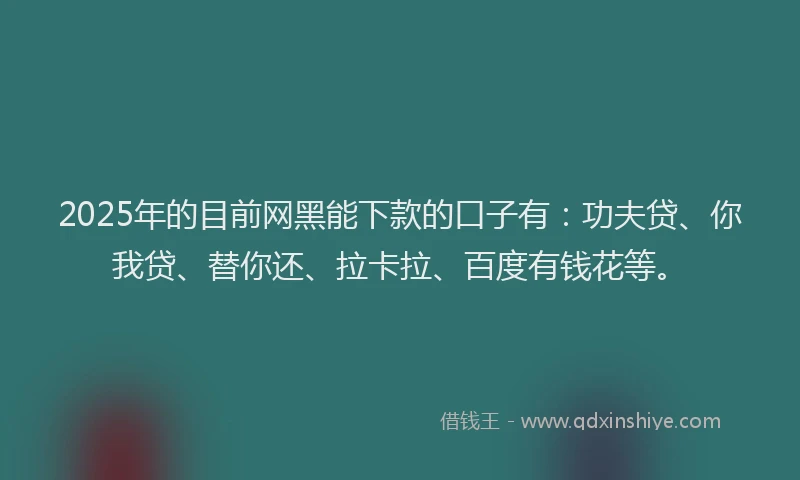 2025年的目前网黑能下款的口子有：功夫贷、你我贷、替你还、拉卡拉、百度有钱花等。