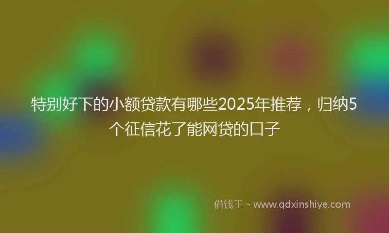 特别好下的小额贷款有哪些2025年推荐，归纳5个征信花了能网贷的口子