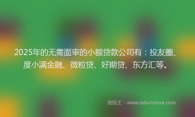 2025年的无需面审的小额贷款公司有：投友圈、度小满金融、微粒贷、好期贷、东方汇等。