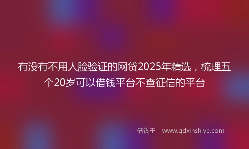 有没有不用人脸验证的网贷2025年精选，梳理五个20岁可以借钱平台不查征信的平台