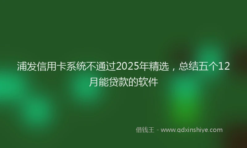 浦发信用卡系统不通过2025年精选，总结五个12月能贷款的软件