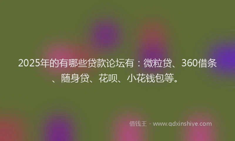 2025年的有哪些贷款论坛有：微粒贷、360借条、随身贷、花呗、小花钱包等。