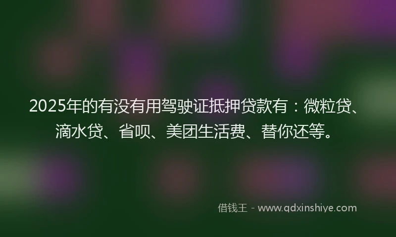 2025年的有没有用驾驶证抵押贷款有：微粒贷、滴水贷、省呗、美团生活费、替你还等。