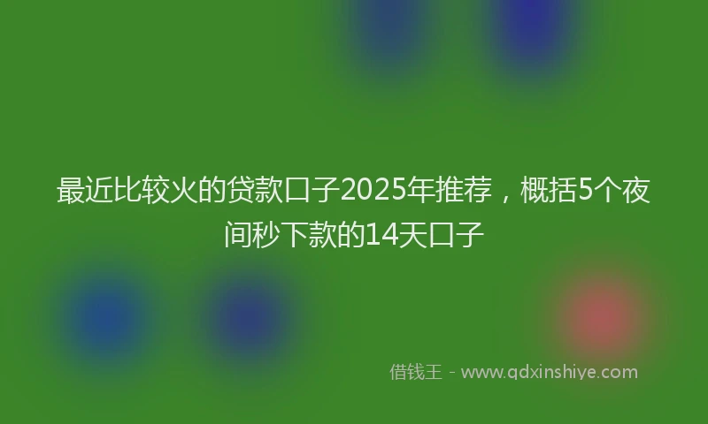 最近比较火的贷款口子2025年推荐，概括5个夜间秒下款的14天口子