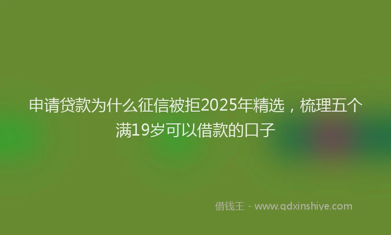 申请贷款为什么征信被拒2025年精选，梳理五个满19岁可以借款的口子