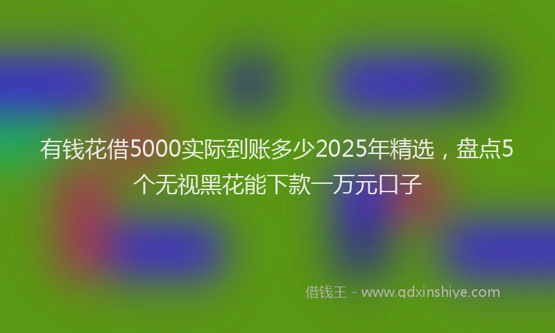 有钱花借5000实际到账多少2025年精选，盘点5个无视黑花能下款一万元口子