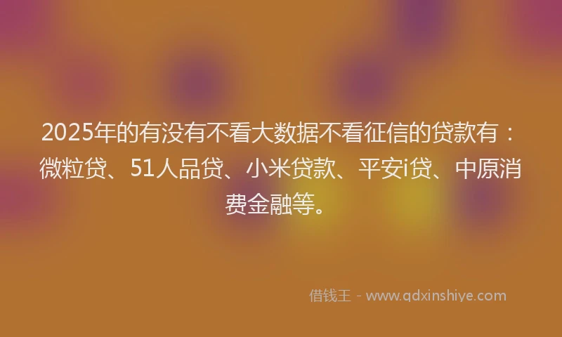 2025年的有没有不看大数据不看征信的贷款有：微粒贷、51人品贷、小米贷款、平安i贷、中原消费金融等。