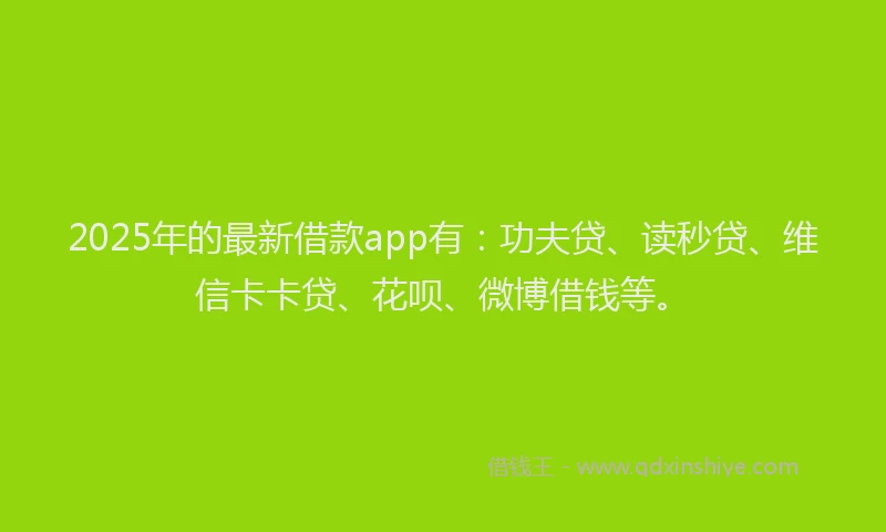 2025年的最新借款app有：功夫贷、读秒贷、维信卡卡贷、花呗、微博借钱等。