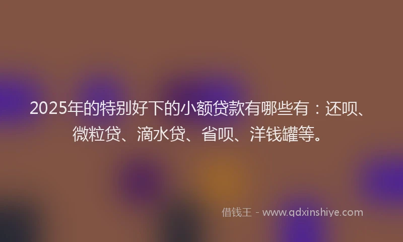 2025年的特别好下的小额贷款有哪些有：还呗、微粒贷、滴水贷、省呗、洋钱罐等。