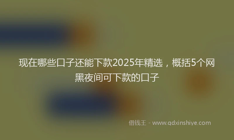 现在哪些口子还能下款2025年精选，概括5个网黑夜间可下款的口子